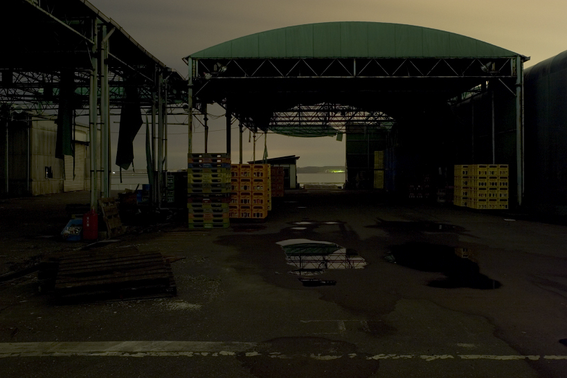 Works - Trans A.M. - No.10