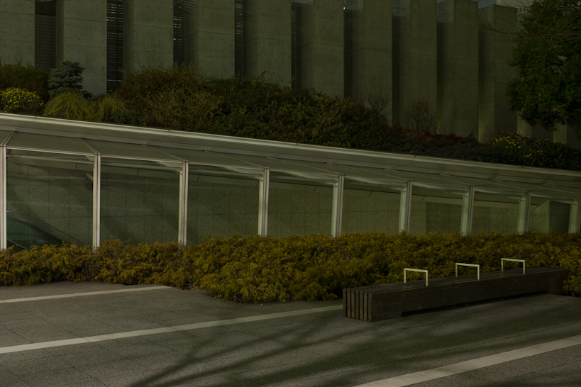 Weekly Photos [52] 2