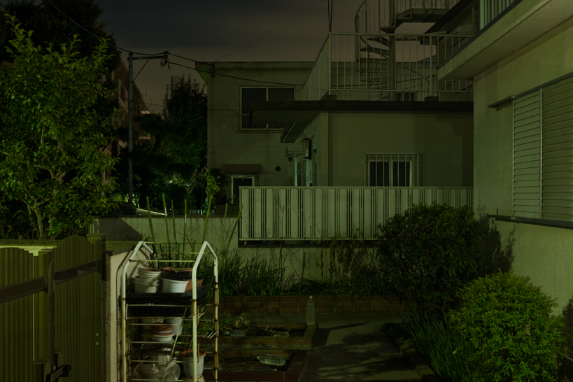 Weekly Photos [52] 4