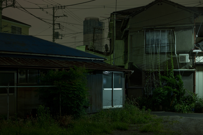 Weekly Photos [52] 6