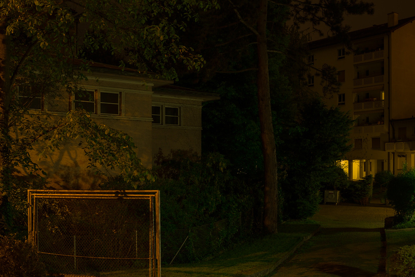 Weekly Photos [52] 8