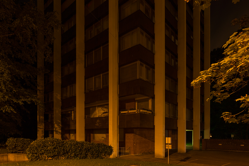 Weekly Photos [52] 11