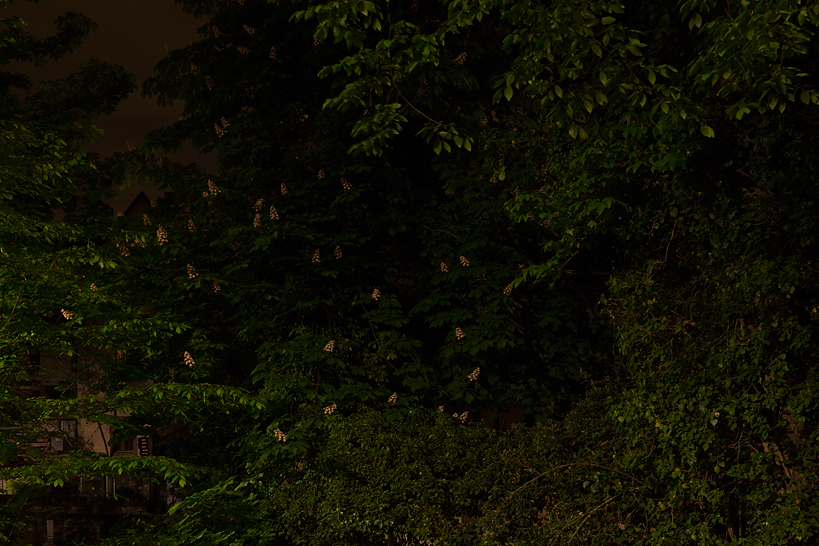 Weekly Photos [53] - 1