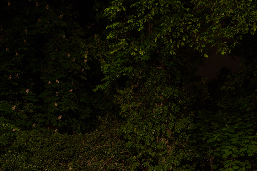 Weekly Photos [53] 2