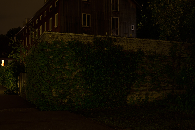 Weekly Photos [53] - 5