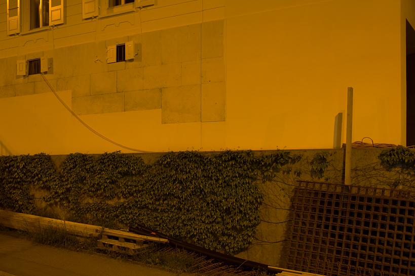 Weekly Photos [53] - 10