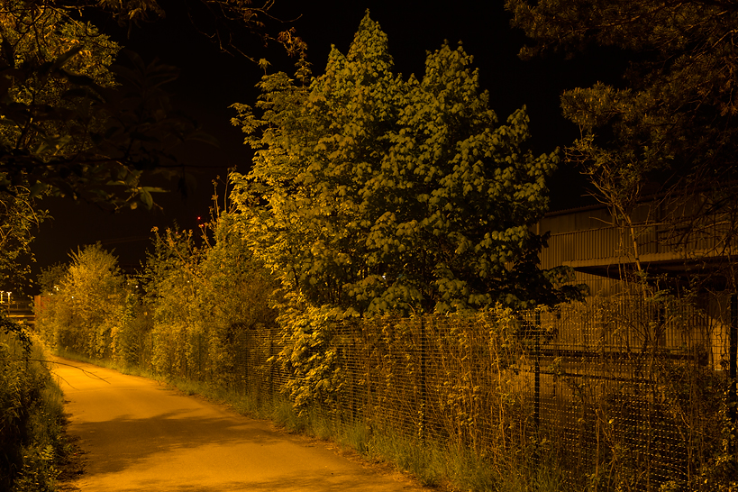 Weekly Photos [53] - 12