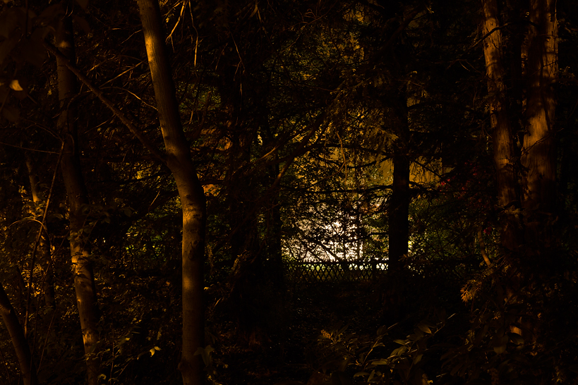 Weekly Photos [54] 3