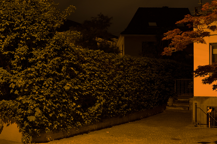 Weekly Photos [54] 7