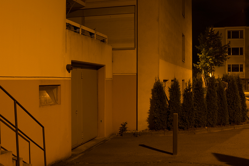 Weekly Photos [54] 8