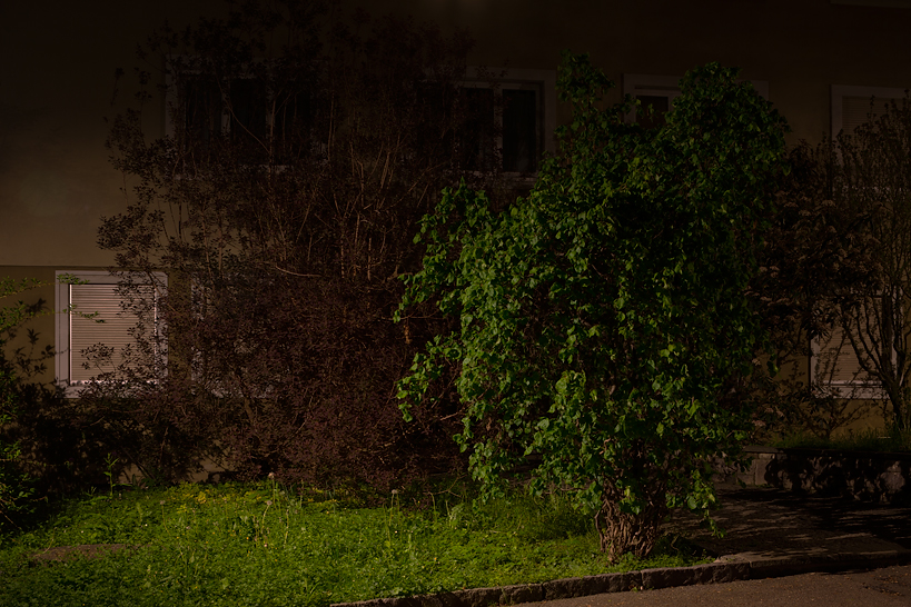 Weekly Photos [54] 9