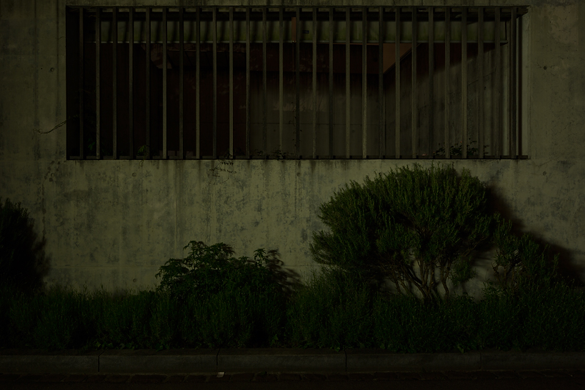 Weekly Photos [55] 2