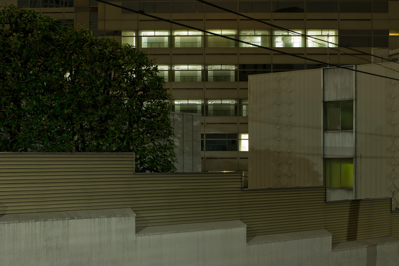 Weekly Photos [55] 7