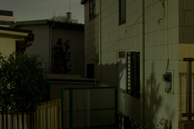 Weekly Photos [55] 12