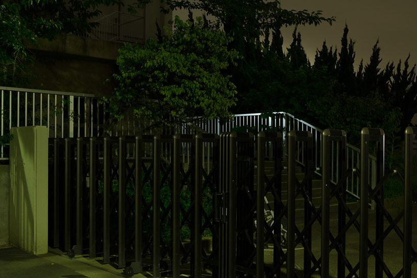 Weekly Photos [56] 3