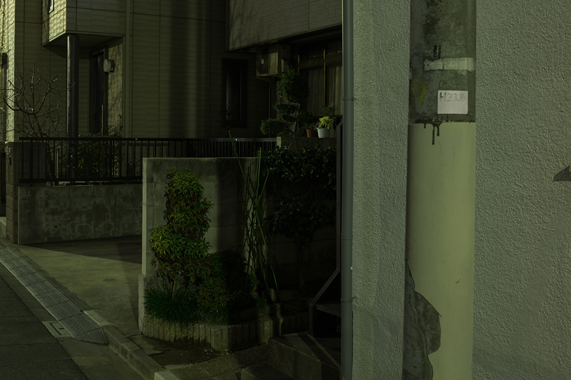 Weekly Photos [56] 4