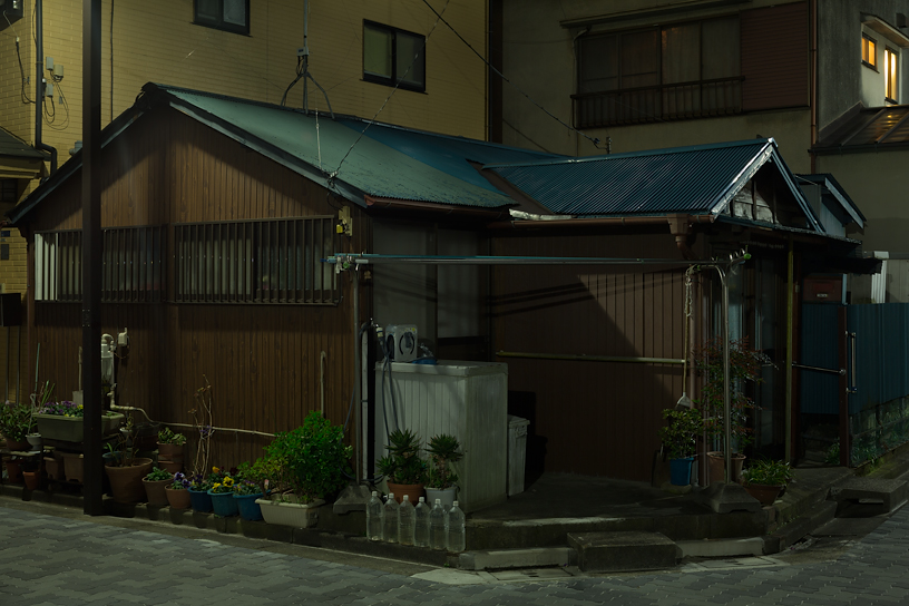 Weekly Photos [56] 5