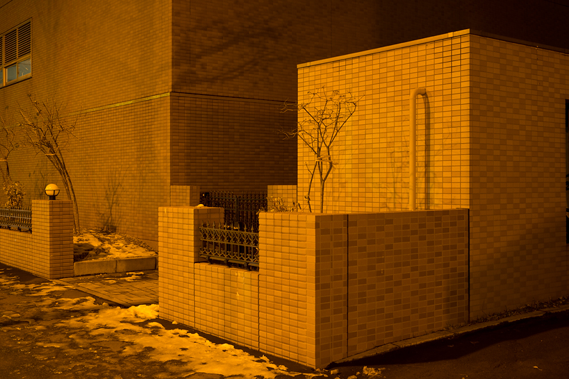 Weekly Photos [57] 11