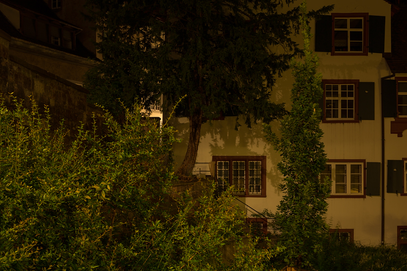 Weekly Photos [58] 8