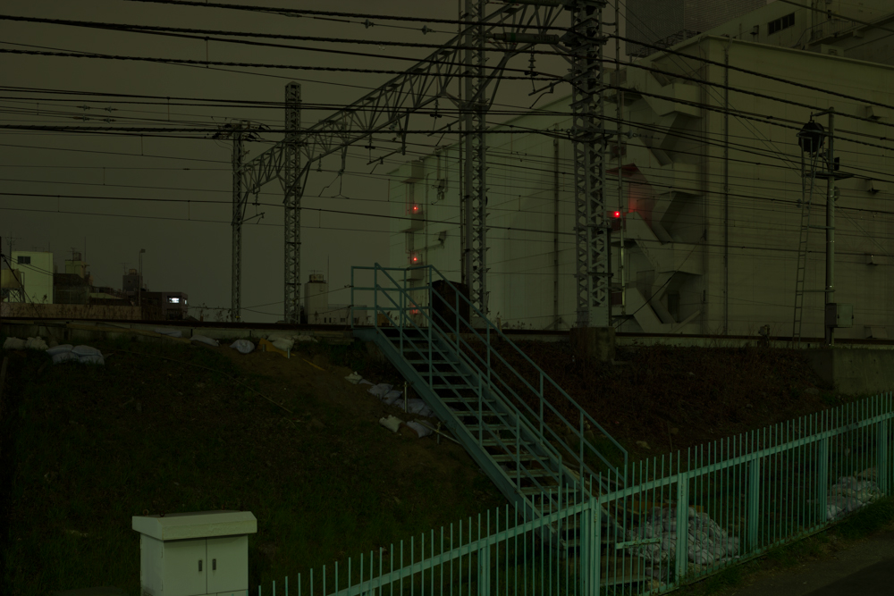 Weekly Photos [59] 4