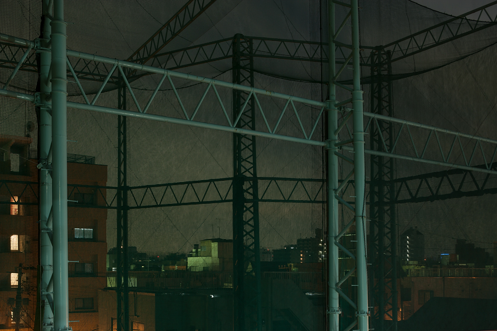 Weekly Photos [59] 5