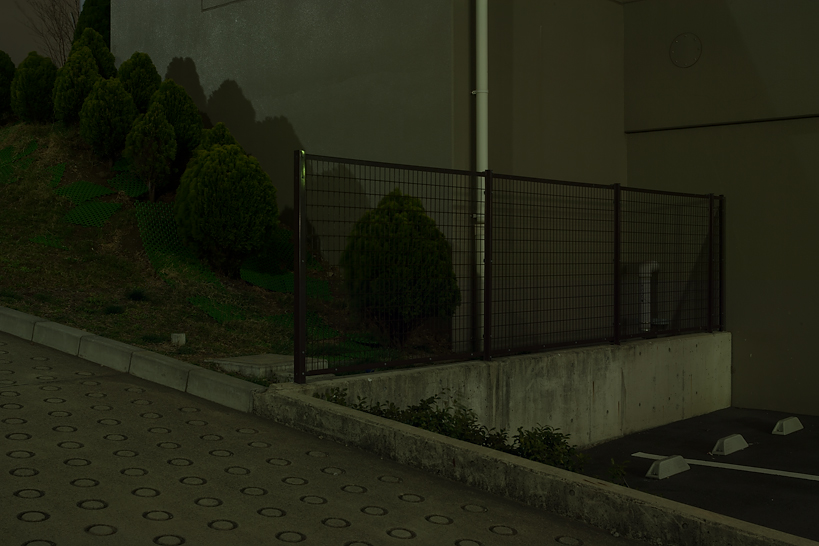 Weekly Photos [59] 6