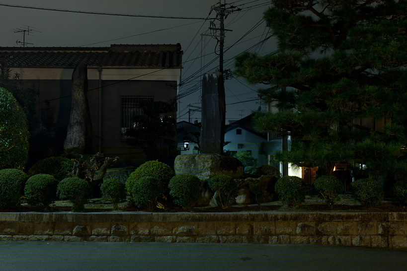 Weekly Photos [59] 8