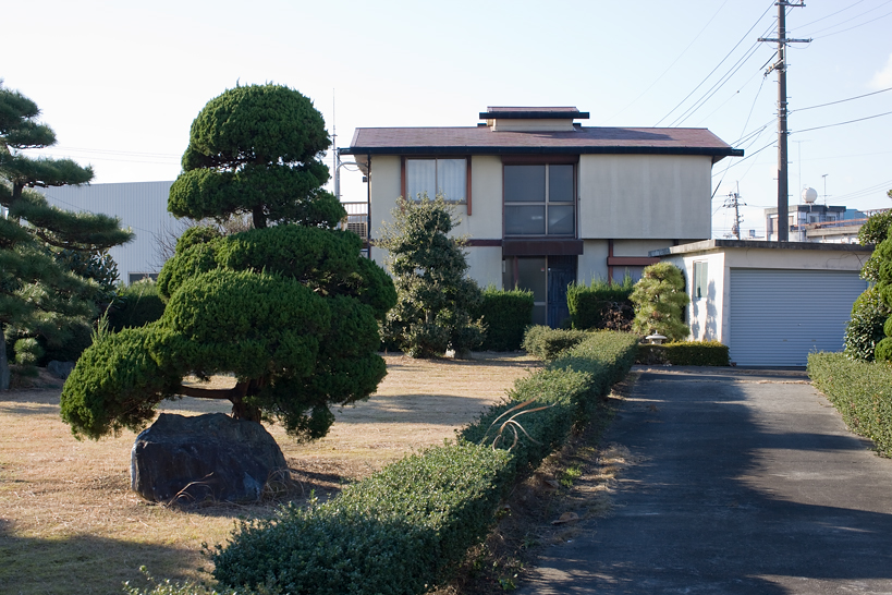 Weekly Photos [60] 5