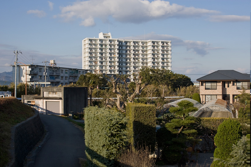 Weekly Photos [60] 10