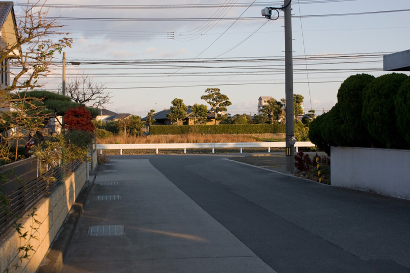 Weekly Photos [60] 12