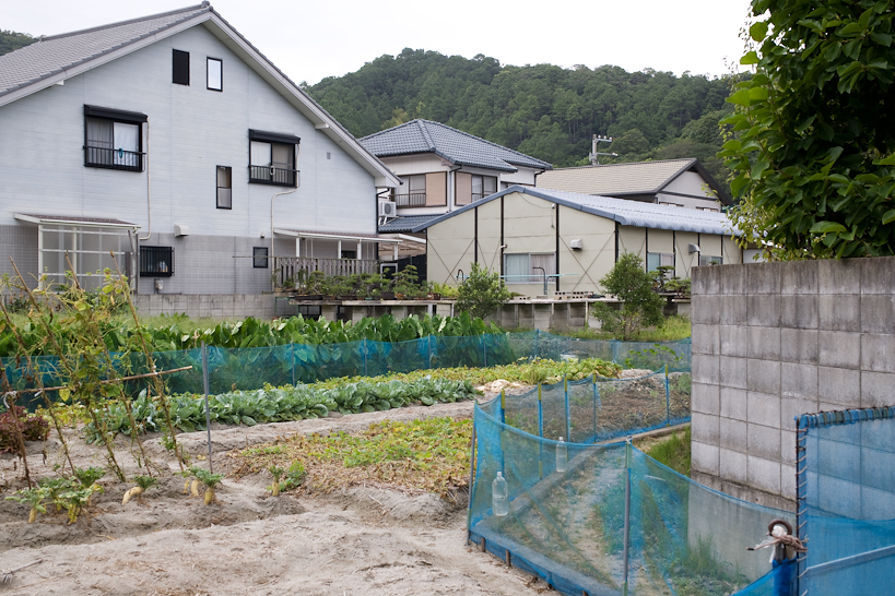 Weekly Photos [61] 7