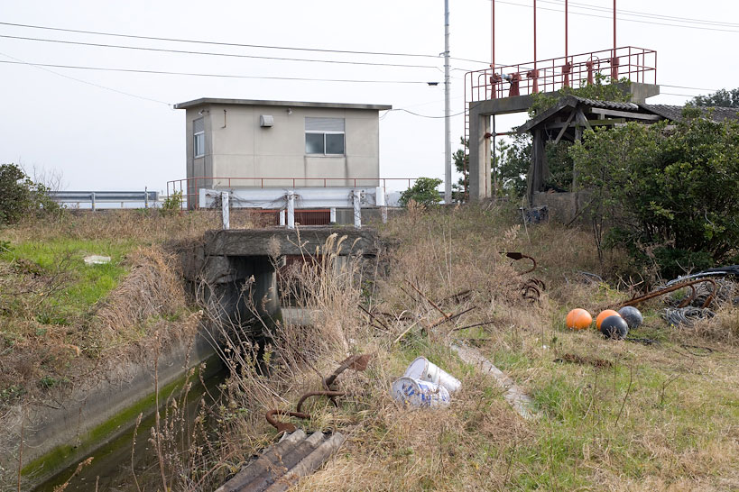 Weekly Photos [61] 10