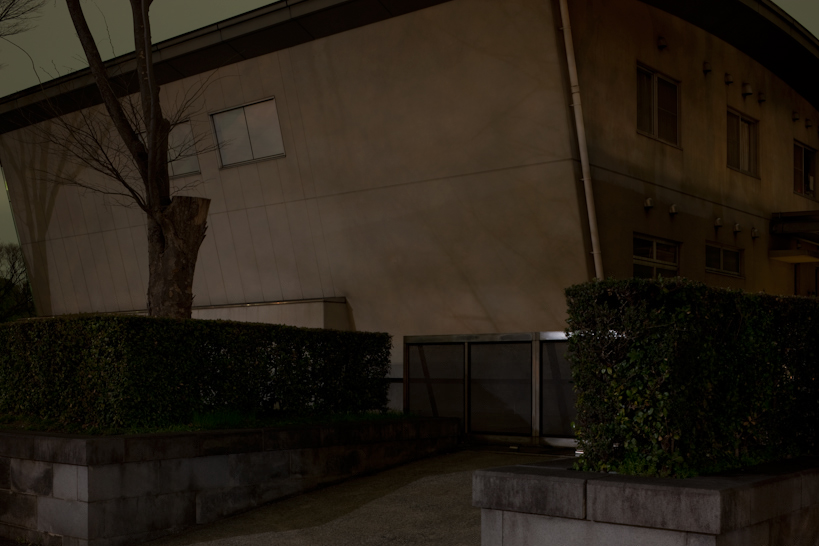 Weekly Photos [62] 2