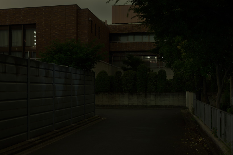 Weekly Photos [62] 7