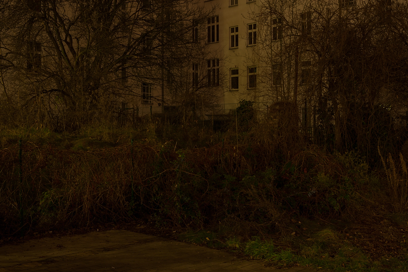 Weekly Photos [63] 9