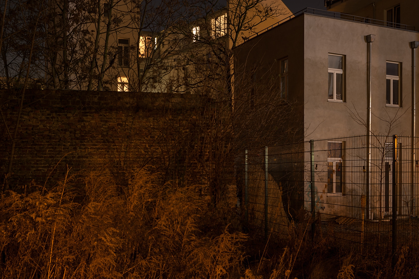 Weekly Photos [64] 2