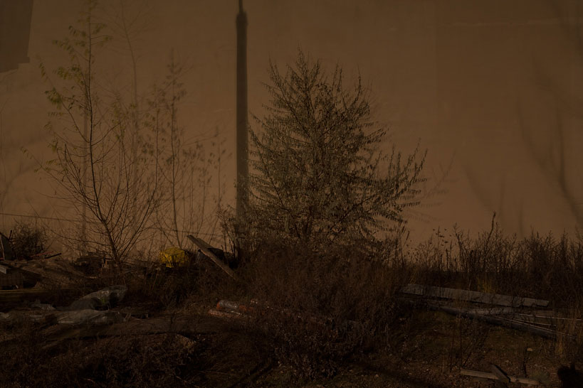 Weekly Photos [64] 5