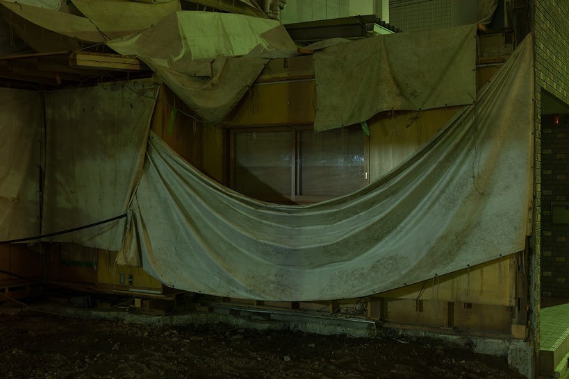 Weekly Photos [65] 12