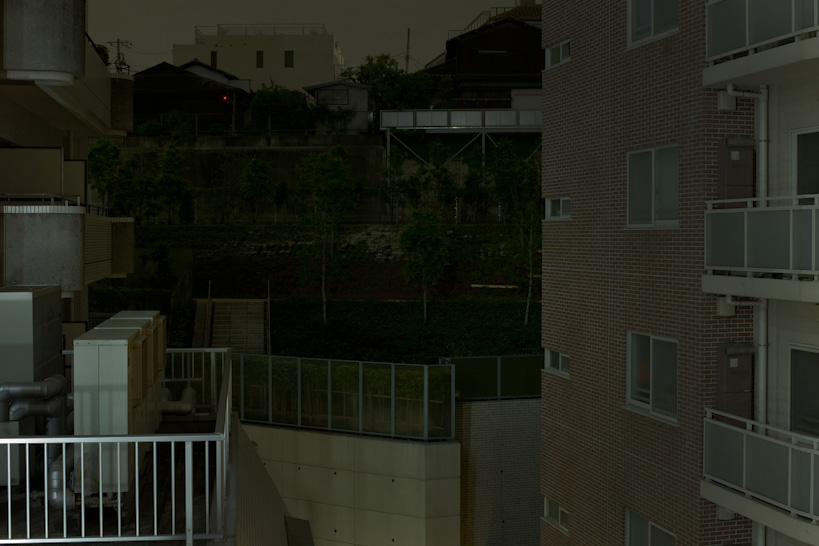 Weekly Photos [66] 6