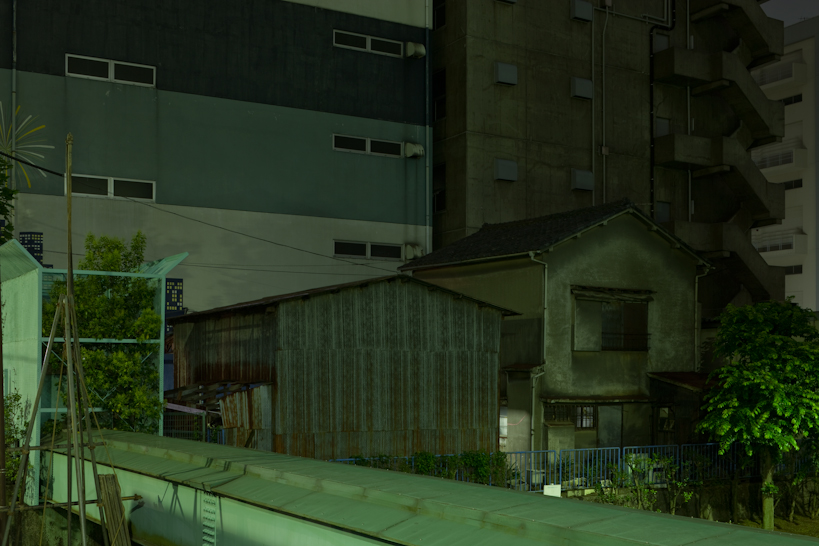 Weekly Photos [66] 11