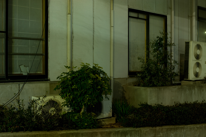 Weekly Photos [67] 8