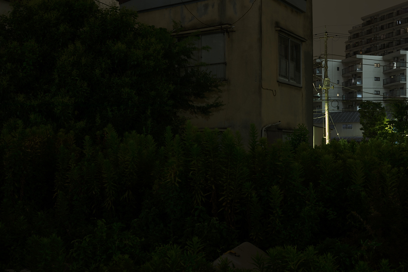 Weekly Photos [68] 4