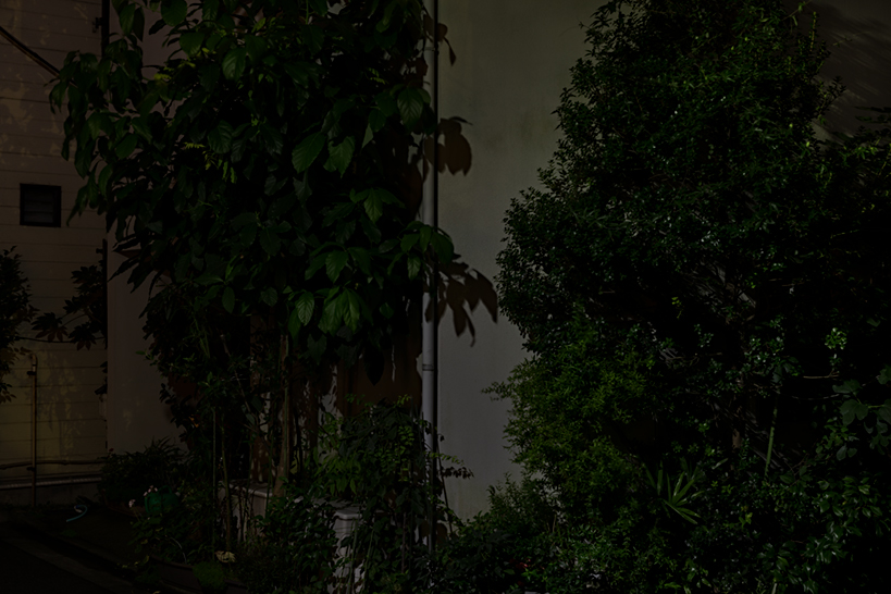 Weekly Photos [68] 10