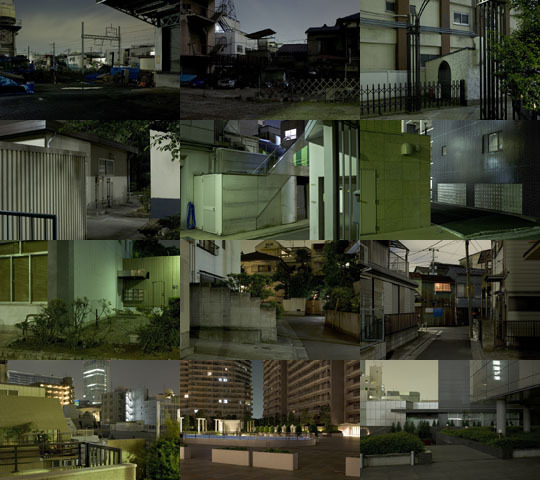 Weekly Photos - No.11