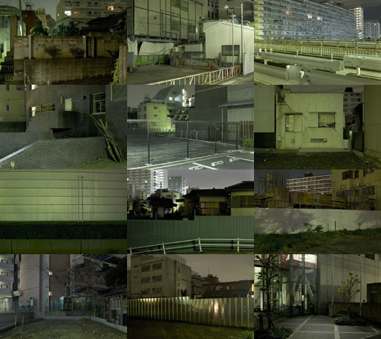 Weekly Photos - No.12