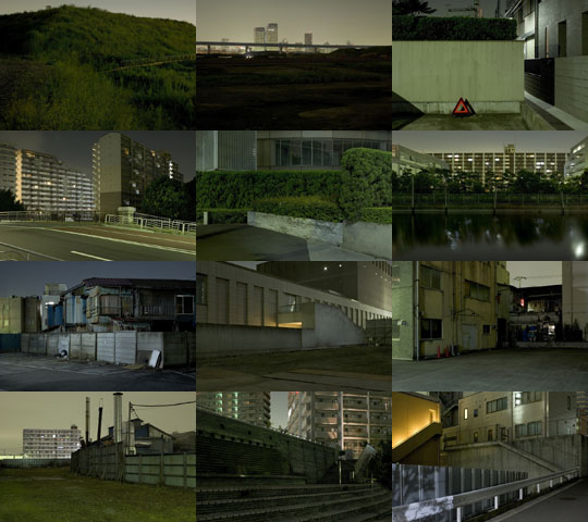 Weekly Photos - No.14