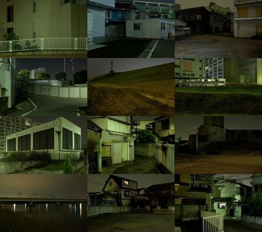 Weekly Photos - No.25