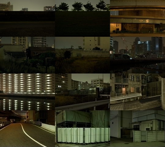 Weekly Photos - No.29