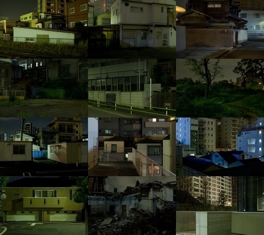 Weekly Photos - No.30