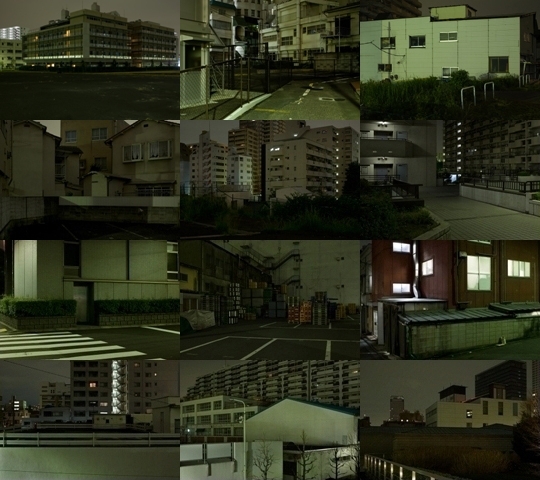 Weekly Photos - No.31